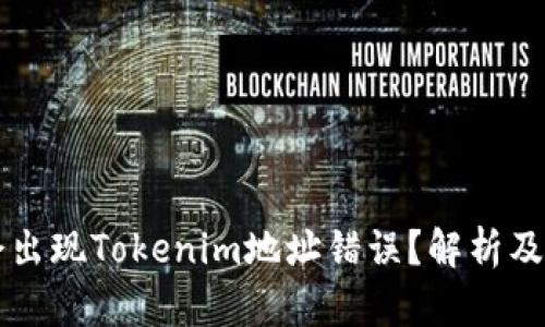 为什么会出现Tokenim地址错误？解析及解决方案