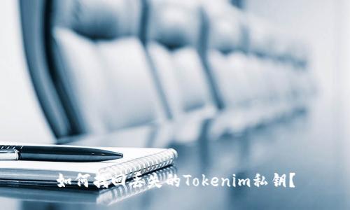 如何找回丢失的Tokenim私钥？