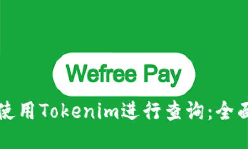 如何使用Tokenim进行查询：全面指南