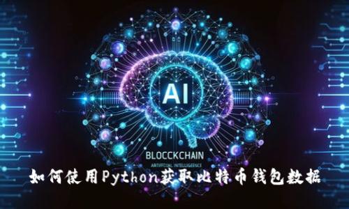 如何使用Python获取比特币钱包数据
