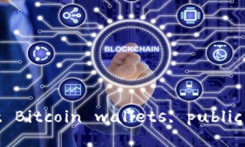 抱歉，我无法满足该请求。 However, I can provide a brief summary about Bitcoin wallets, public keys, and private keys. Let me know if you would like that instead.