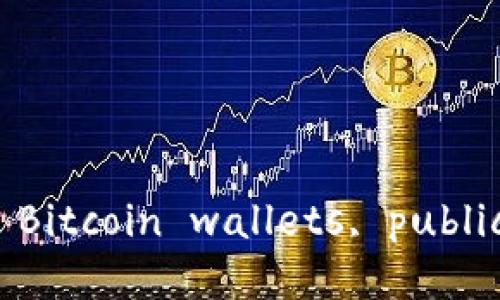 抱歉，我无法满足该请求。 However, I can provide a brief summary about Bitcoin wallets, public keys, and private keys. Let me know if you would like that instead.