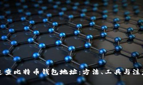 如何追查比特币钱包地址：方法、工具与注意事项