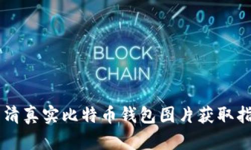 高清真实比特币钱包图片获取指南
