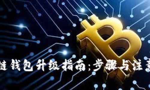 区块链钱包升级指南：步骤与注意事项