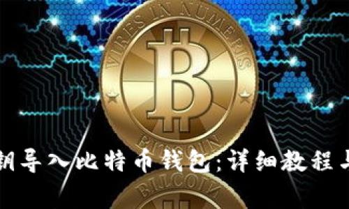 如何将私钥导入比特币钱包：详细教程与注意事项