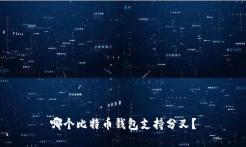 哪个比特币钱包支持分叉？