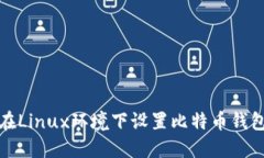 如何在Linux环境下设置比特