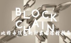 比特币钱包的种类与选择