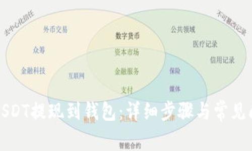 如何将USDT提现到钱包：详细步骤与常见问题解答