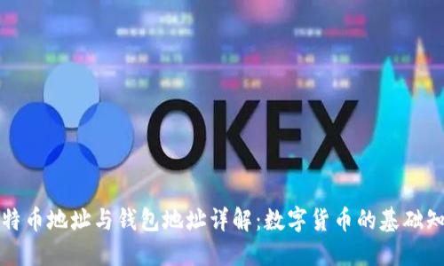 比特币地址与钱包地址详解：数字货币的基础知识