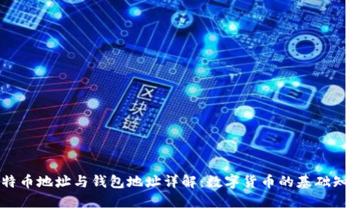 比特币地址与钱包地址详解：数字货币的基础知识