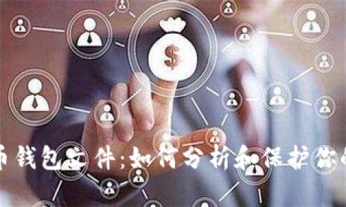 揭秘比特币钱包文件：如何分析和保护你的数字资产