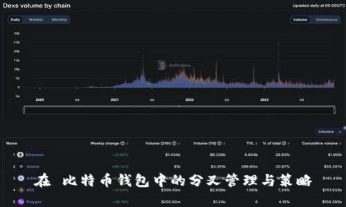 在 比特币钱包中的分叉管理与策略