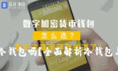 USDT能存入冷钱包吗？全面