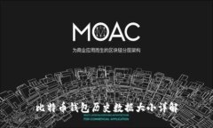 比特币钱包历史数据大小