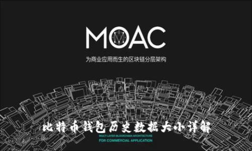 比特币钱包历史数据大小详解