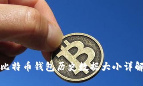 比特币钱包历史数据大小详解