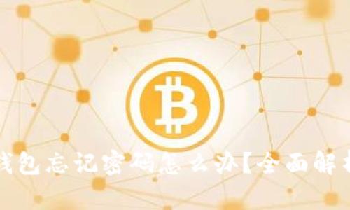 比特币电子钱包忘记密码怎么办？全面解析与解决方案