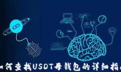 如何查找USDT母钱包的详细