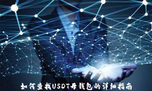 
如何查找USDT母钱包的详细指南