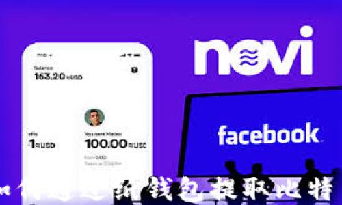 
如何通过纸钱包提取比特币