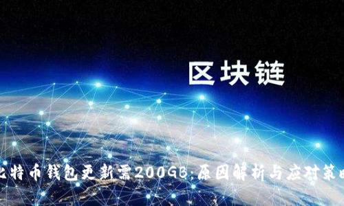 比特币钱包更新需200GB：原因解析与应对策略