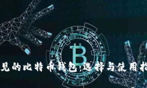常见的比特币钱包：选择与使用指南