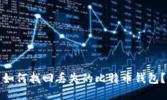 如何找回丢失的比特币钱