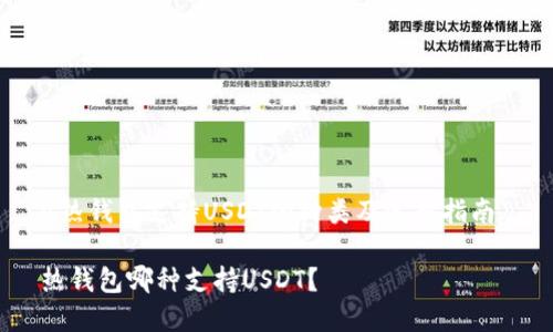 《热钱包支持USDT的种类及选择指南》

热钱包哪种支持USDT？