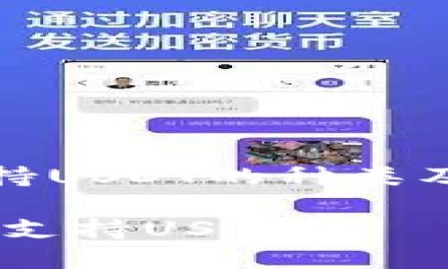 《热钱包支持USDT的种类及选择指南》

热钱包哪种支持USDT？