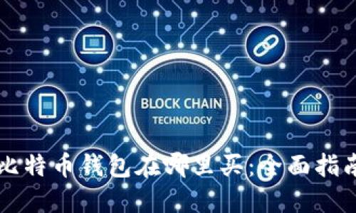 比特币钱包在哪里买：全面指南