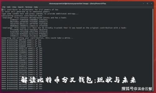 解读比特币分叉钱包：现状与未来