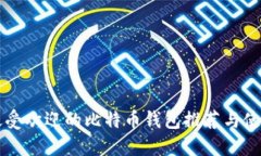 国内最受欢迎的比特币钱包推荐与使用指南