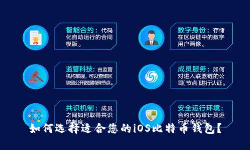 如何选择适合您的iOS比特币钱包？