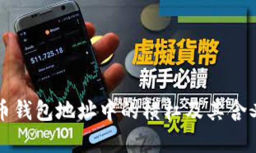 比特币钱包地址中的横杠及其含义解析