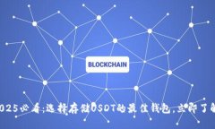 2025必看：选择存储USDT的最