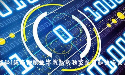 专家揭秘！海南御银数字钱包的独家使用秘诀与未来展望