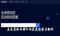 未来虚拟币团队的发展趋