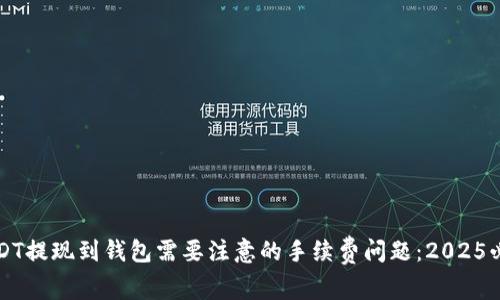 USDT提现到钱包需要注意的手续费问题：2025必看