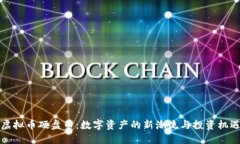 虚拟币硬盘币：数字资产