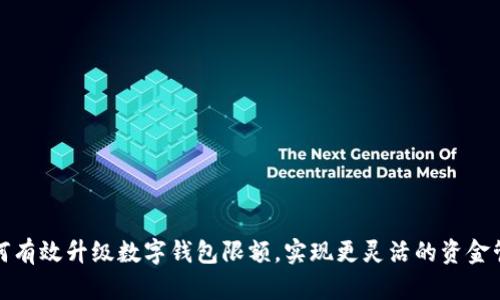 如何有效升级数字钱包限额，实现更灵活的资金管理
