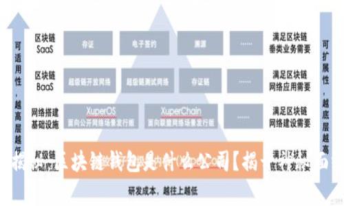 专家独家揭秘：区块链钱包是什么公司？揭开神秘面纱的秘诀！