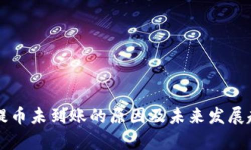 虚拟币提币未到账的原因及未来发展趋势分析